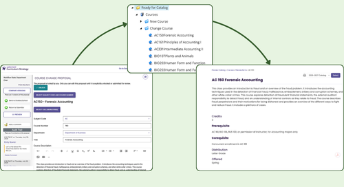 Display showing how curriculum propsal flows into approval in Curriculum Strategy software